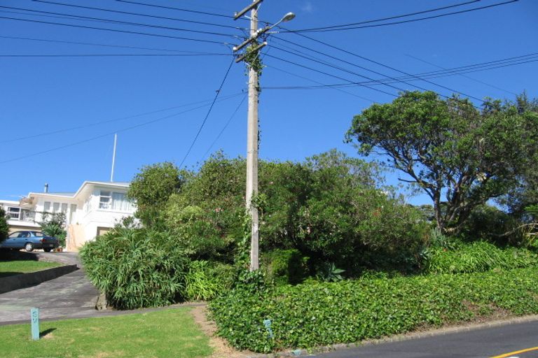 Photo of property in 51 Exmouth Road, Northcote, Auckland, 0627