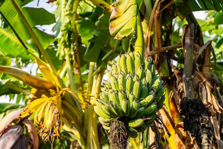 Photo of property in 1226 Pipiwai Road, Ruatangata West, Whangarei, 0176