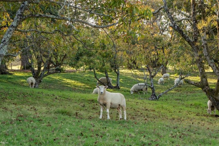 Photo of property in 17 Golf Harbour Drive, Maunu, Whangarei, 0179