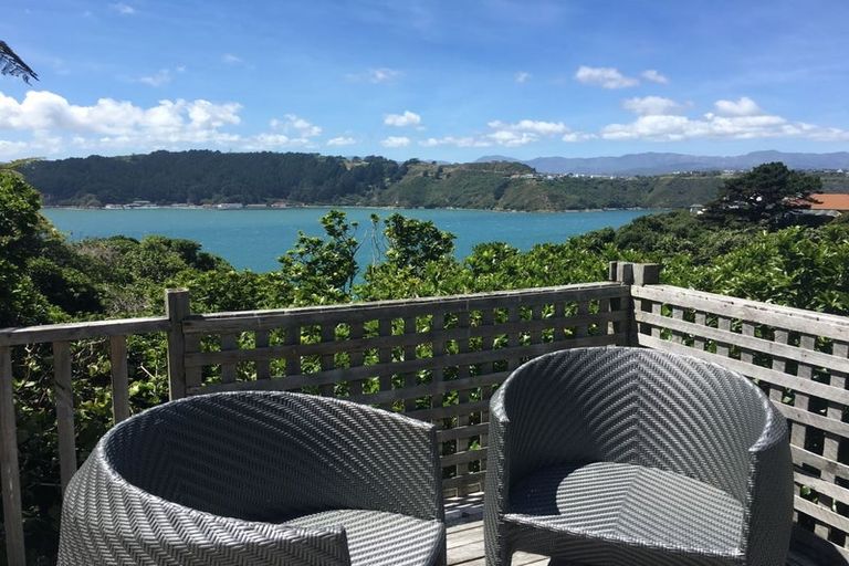 Photo of property in 115a Grafton Road, Roseneath, Wellington, 6011