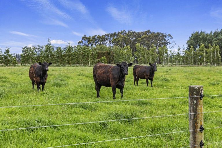 Photo of property in 32 Bramleys Road, Flaxton, Kaiapoi, 7691