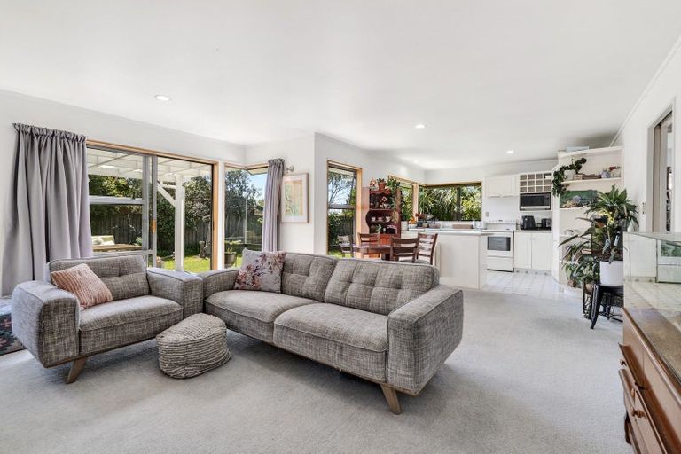 Photo of property in 15 Albizia Place, Richmond, 7020