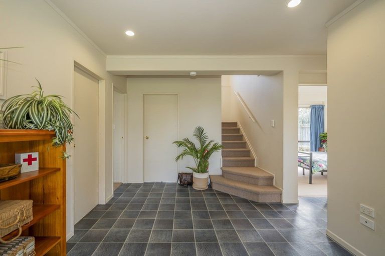 Photo of property in 62 Oyster Drive, Cooks Beach, Whitianga, 3591