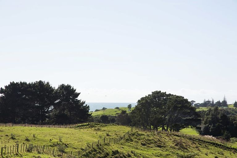 Photo of property in 7a Chatswood Grove, Fitzroy, New Plymouth, 4312