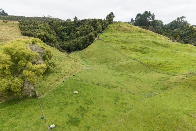 Photo of property in 29 Kuku Road, Pohangina, Ashhurst, 4884