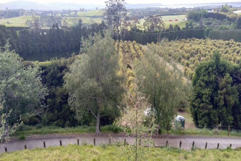 Photo of property in 480a Youngson Road, Whakamarama, 3179