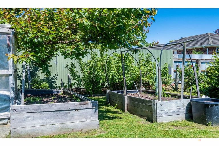 Photo of property in 39 Rhodes Street, Waimate, 7924
