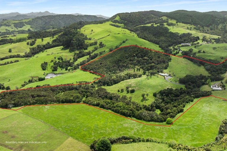 Photo of property in 135 Warahoe Road, Matatoki, Thames, 3578