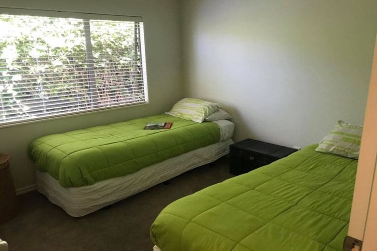 Photo of property in 116 Fourteenth Avenue, Tauranga South, Tauranga, 3112