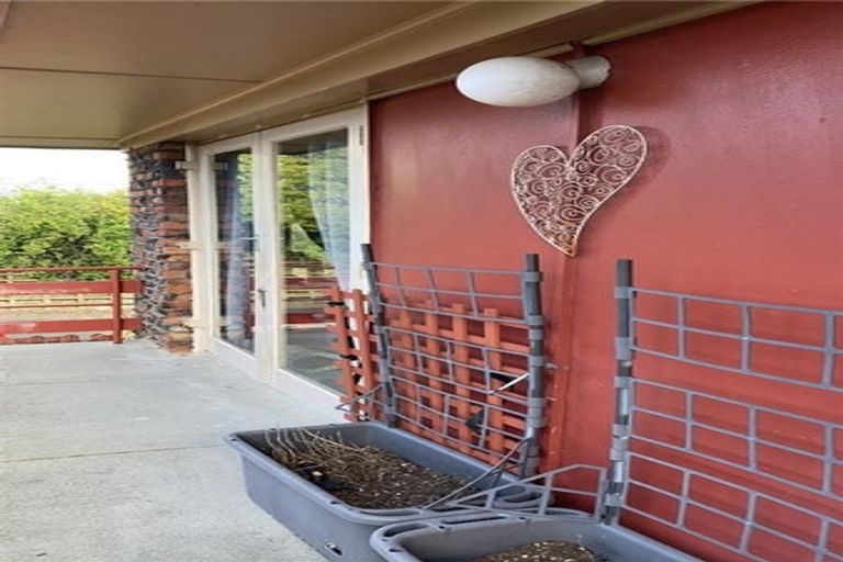 Photo of property in 49 Sillary Street, Hamilton East, Hamilton, 3216