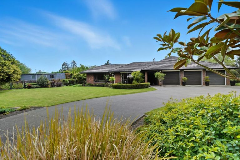 Photo of property in 78 Skewbridge Road, Flaxton, Kaiapoi, 7691