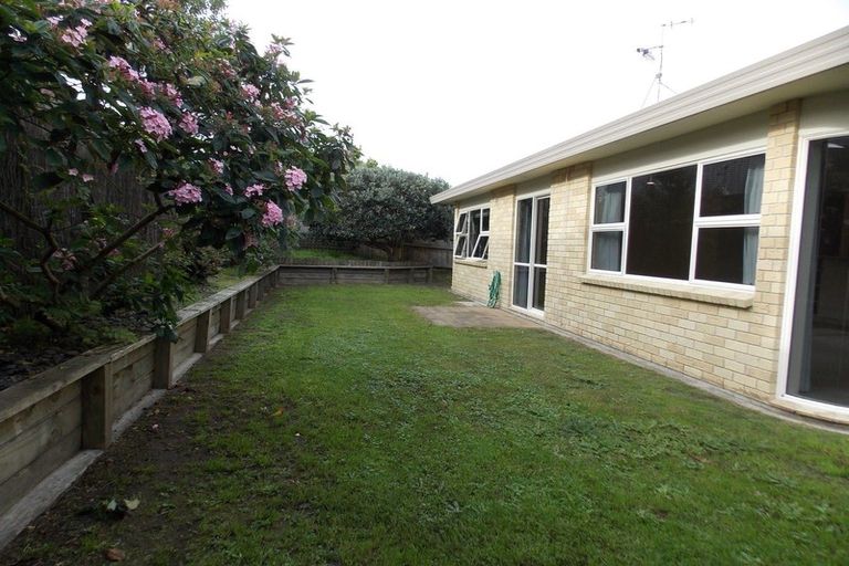 Photo of property in 14b Korowai Street, Mount Maunganui, 3116