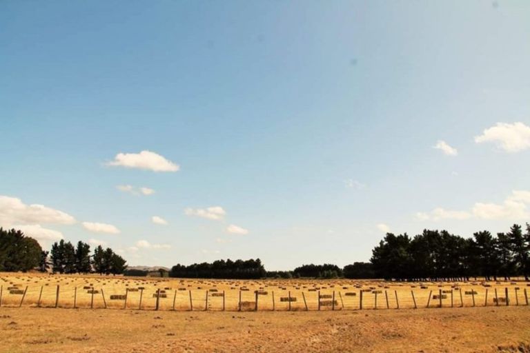 Photo of property in 4343 State Highway 2, Takapau, 4286