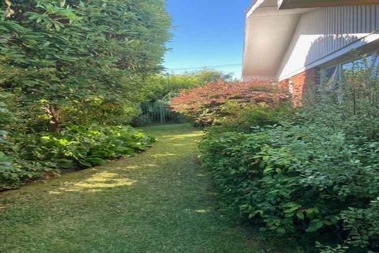Photo of property in 397 Douglas Avenue, Te Awamutu, 3800