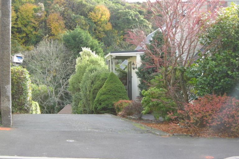 Photo of property in 37b Littlebourne Road, Roslyn, Dunedin, 9010