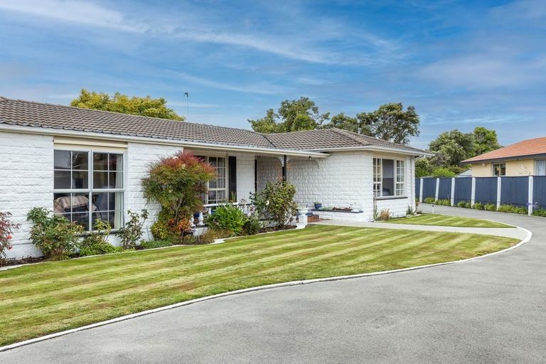 Photo of property in 19b Castile Place, Belfast, Christchurch, 8051