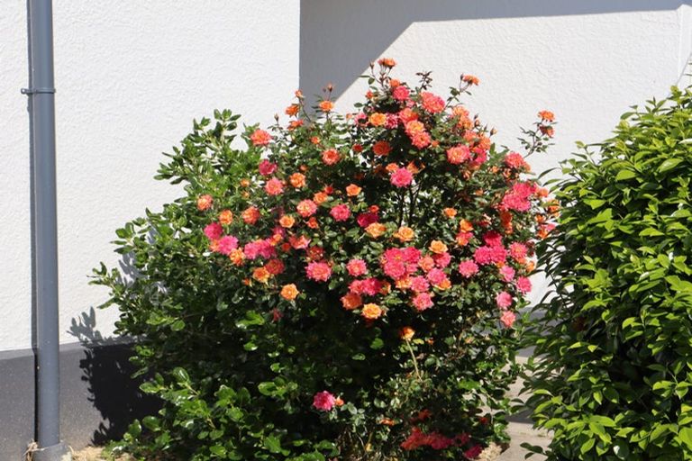 Photo of property in 28 Clyde Street, Oamaru North, Oamaru, 9400