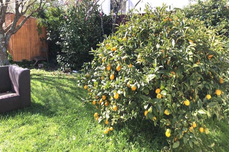 Photo of property in 89 Mein Street, Newtown, Wellington, 6021