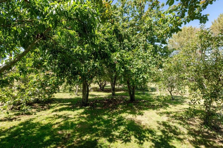 Photo of property in 202 Ngamotu Road, Rerewhakaaitu, Rotorua, 3073