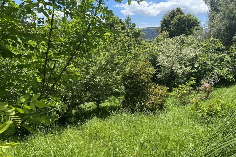 Photo of property in 1579 Tairua Whitianga Road, Whenuakite, Whitianga, 3591