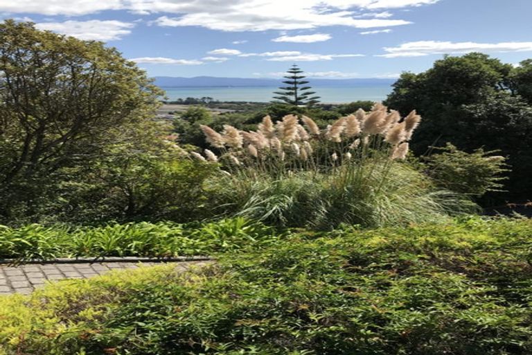 Photo of property in 18 Orakei Street, Tahunanui, Nelson, 7011