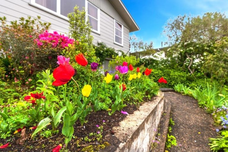 Photo of property in 63 Paraonui Road, Tokoroa, 3420