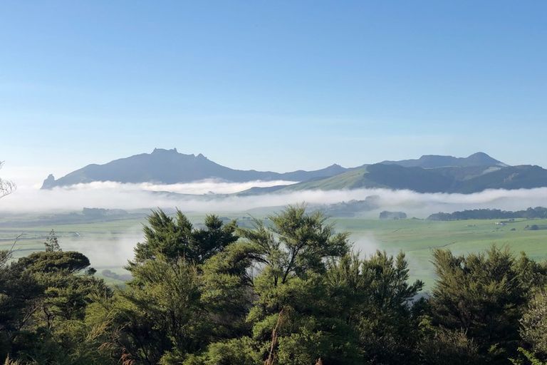 Photo of property in 114 Rarangi Heights, Parua Bay, 0192