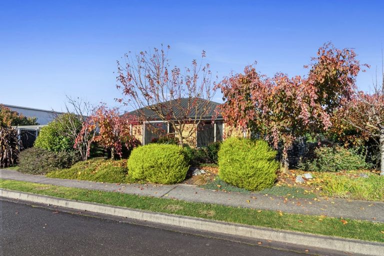 Photo of property in 1 Te Iti Place, Motueka, 7120