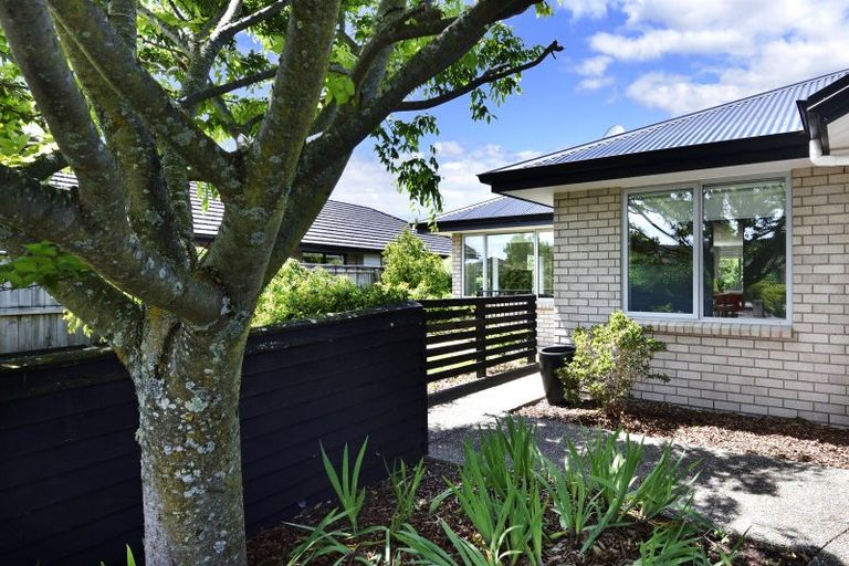 Photo of property in 15 Wanderers Avenue, Brightwater, 7022