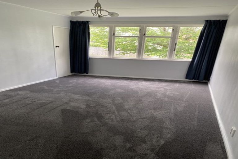 Photo of property in 117 Fairfield Road, Fairfield, Hamilton, 3214