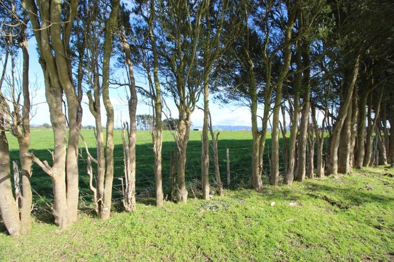 Photo of property in 141 Valley Road, Woodville, 4998