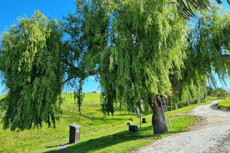 Photo of property in 41 Minnie Casey Rise, Matakohe, 0593