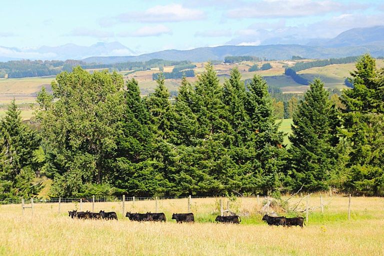 Photo of property in 88 Ridgedale Road, 9672