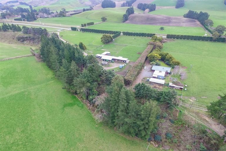 Photo of property in 1291 Domett Road, Domett, Cheviot, 7382