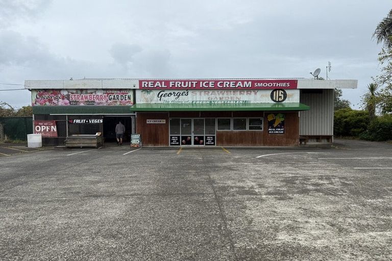 Photo of property in 113-115 Fred Taylor Drive, Whenuapai, Auckland, 0814