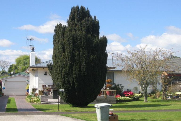 Photo of property in 29 Manson Street, Gate Pa, Tauranga, 3112