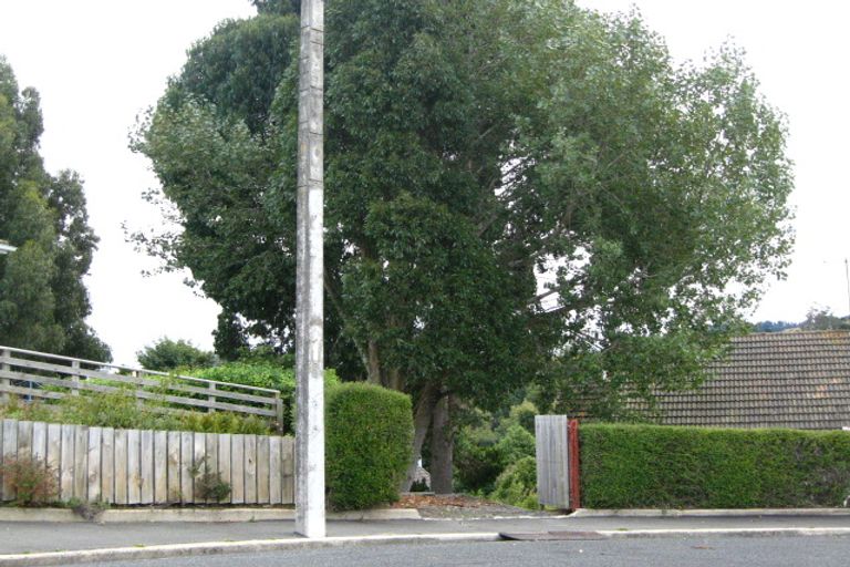 Photo of property in 82 Waimea Avenue, Calton Hill, Dunedin, 9012