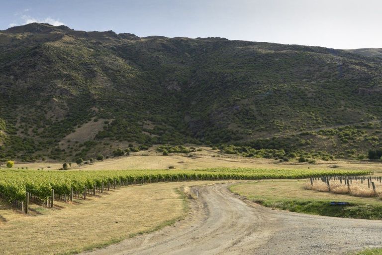 Photo of property in 55b Gibbston Back Road, Gibbston, Queenstown, 9371