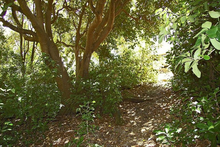 Photo of property in 119 Manu Drive, Kaiwaka, 0573