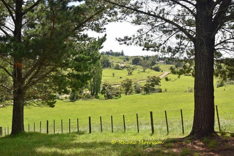 Photo of property in 69 Matakohe Wharf Road, Matakohe, 0593