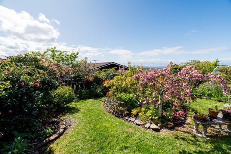 Photo of property in 59 Isadore Road, Saint Clair, Dunedin, 9012