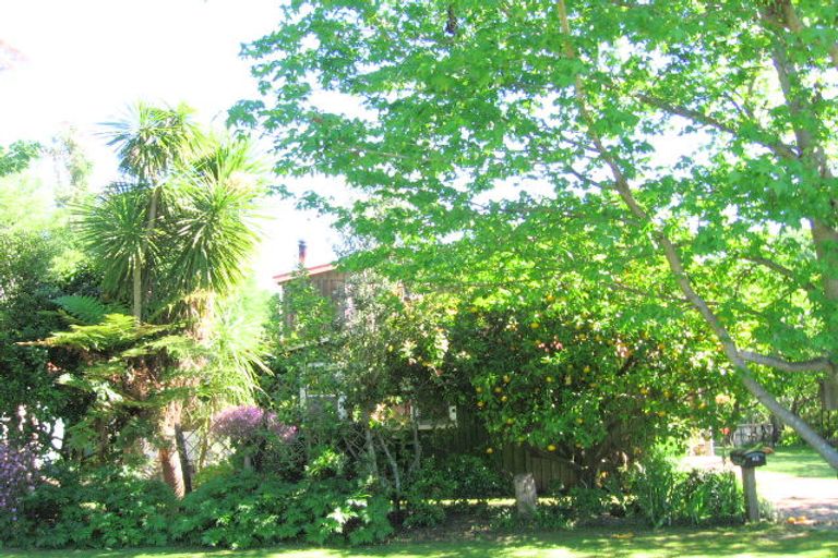 Photo of property in 45 Shelley Road, Whataupoko, Gisborne, 4010