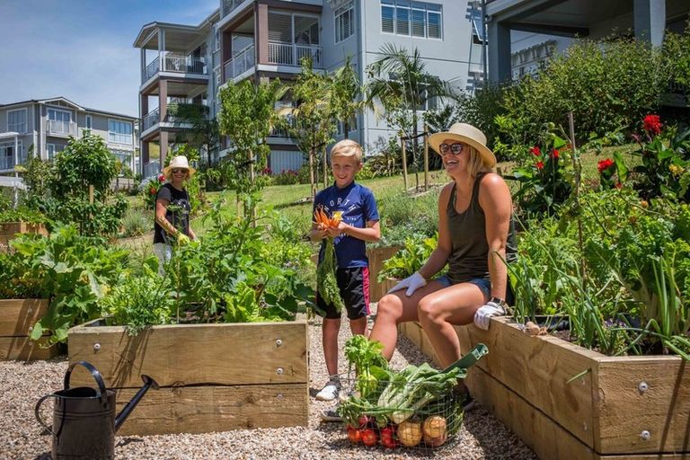 Photo of property in 109 Panorama Heights, Orewa, 0931