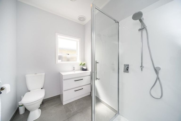 Photo of property in 29 Limbrick Street, Terrace End, Palmerston North, 4410