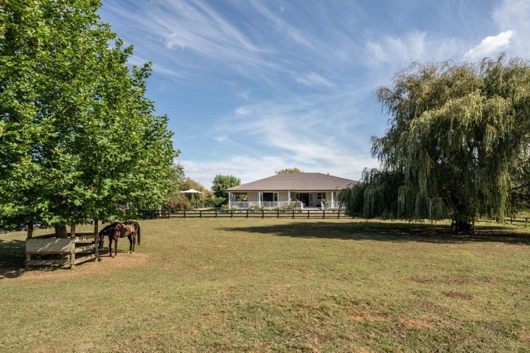 Photo of property in 81 Racecourse Road, Cambridge, 3493