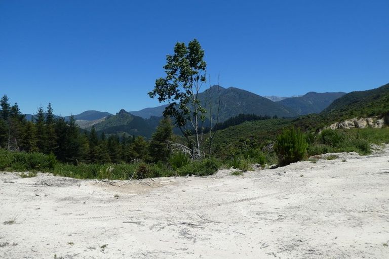 Photo of property in 168 Graham Valley Road, Motueka Valley, Motueka, 7196