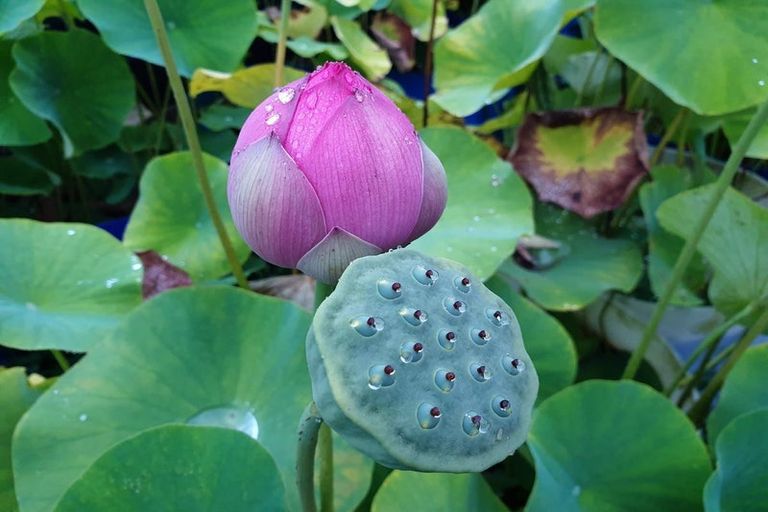 Photo of property in 304 Mangakahia Road, Maungatapere, Whangarei, 0179