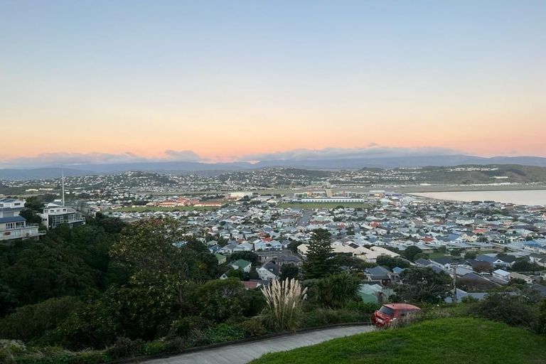 Photo of property in 45 Sutherland Road, Melrose, Wellington, 6023