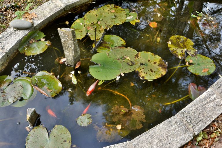Photo of property in 16 Henry Street, Careys Bay, Port Chalmers, 9023