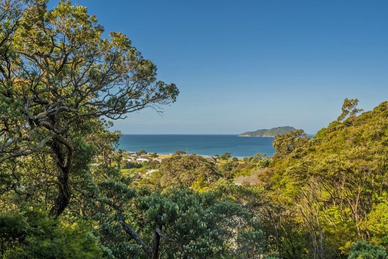 Photo of property in 49 Mount Avenue, Pauanui, Hikuai, 3579